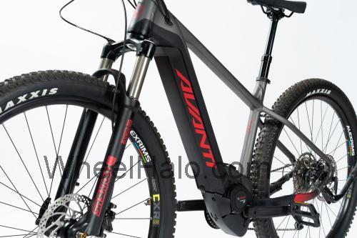 Avanti Competitor E specs and reviews